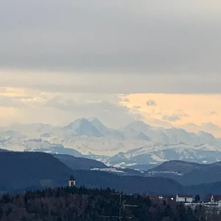 Rebstock * Gorwihl